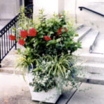 Article image-4