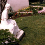 Article image-7